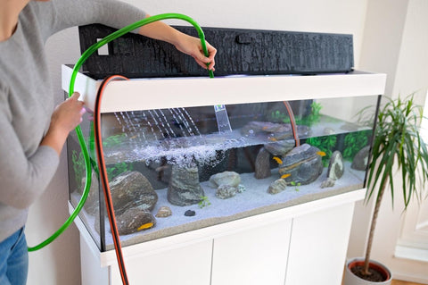 Was ist ein Aquarist?