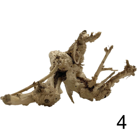 Bog root - Spiderwood 4