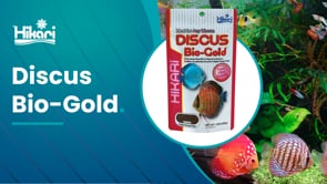 Hikari Discus Bio-Gold