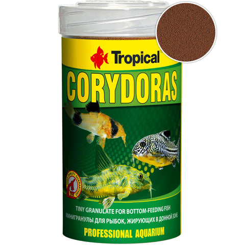 Tropical Corydoras