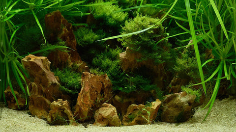 Aquarium Steine für Aquarien – AQUATANA