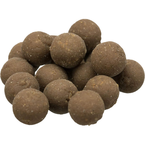 Adventskalender für Katzen