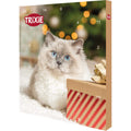 Adventskalender für Katzen