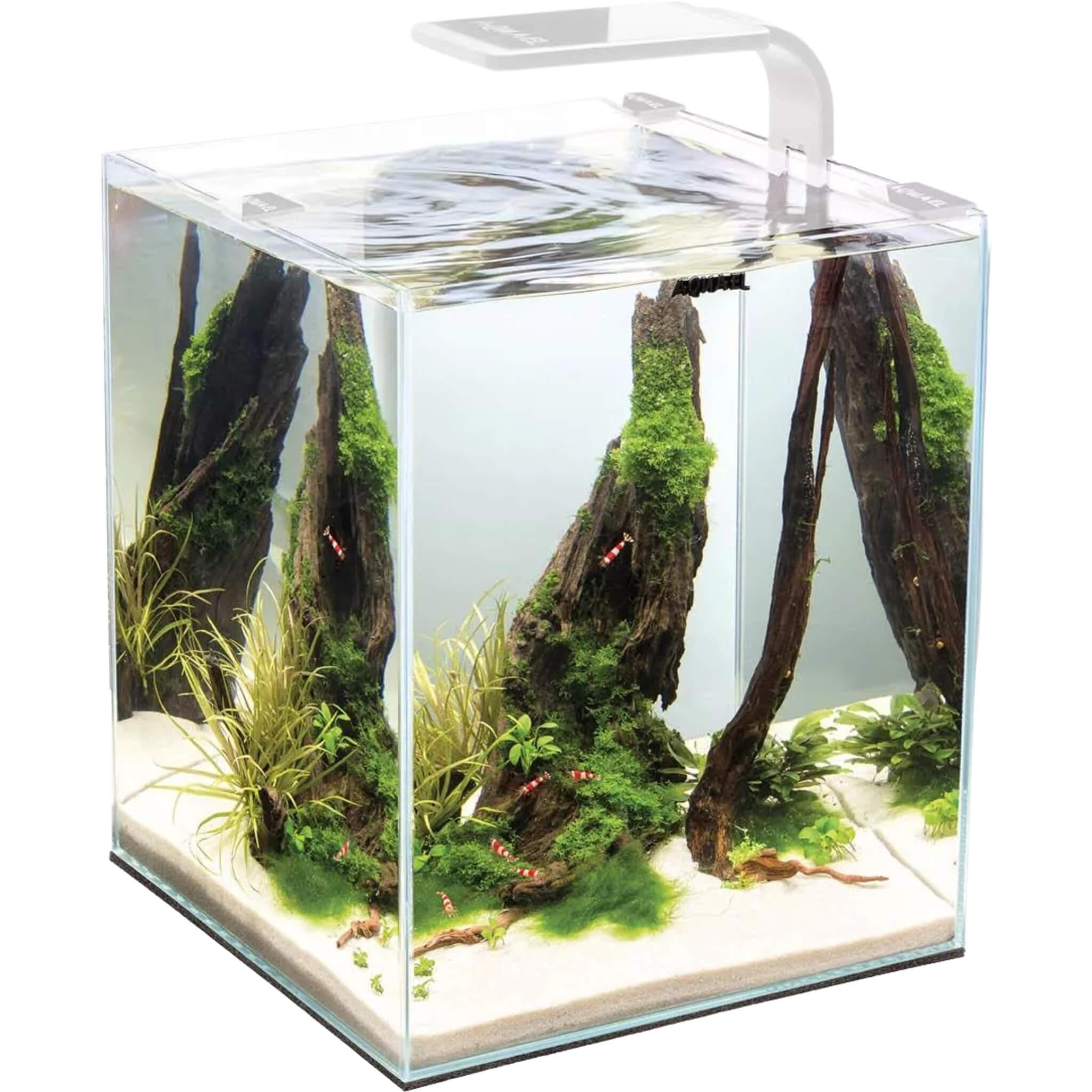 Nano-Aquarium