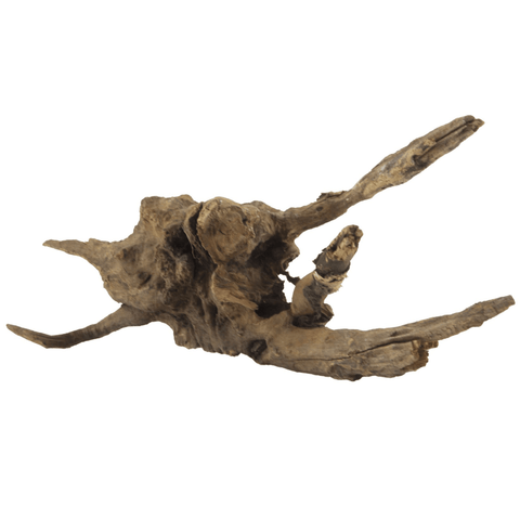 Aquarium Flusswurzel 20-35 cm