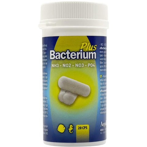 Aquili Bacterium Plus