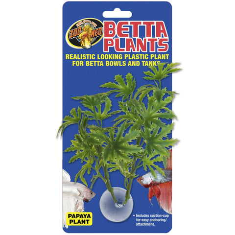 Betta Plants™ – Papaya
