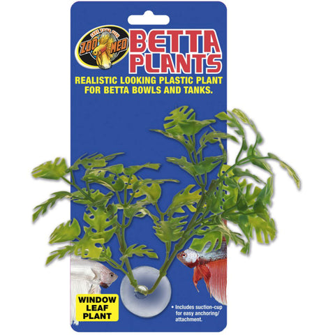 Betta Plants™ – Window Leaf