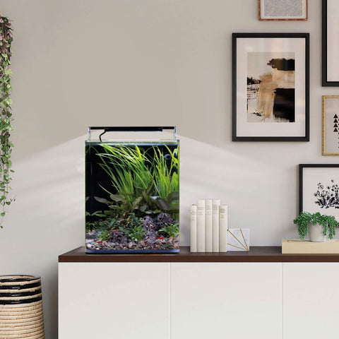 Dennerle Nano Cube Basic 20 Liter