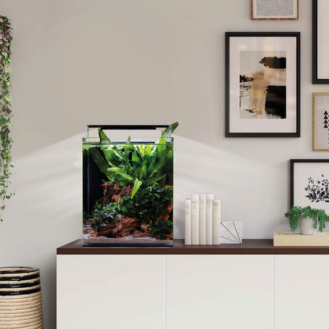 Dennerle Nano Cube Complete 20 Liter