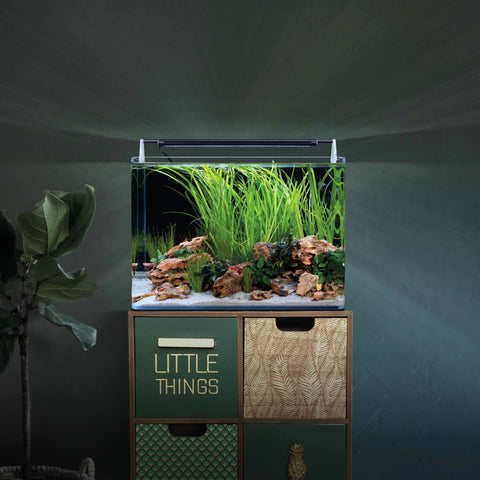 Dennerle Nano Tank Basic 35 Liter