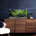 Dennerle Nano Tank Complete 60 Liter