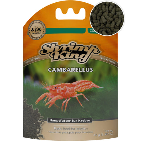 Dennerle Shrimp King Cambarellus