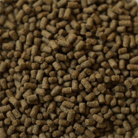 DuplaRin Axolotl Snack