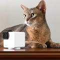 Petcube Haustierkamera 360 Cam