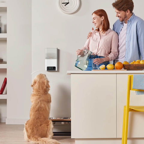 Petcube Haustierkamera Bites 2 Lite