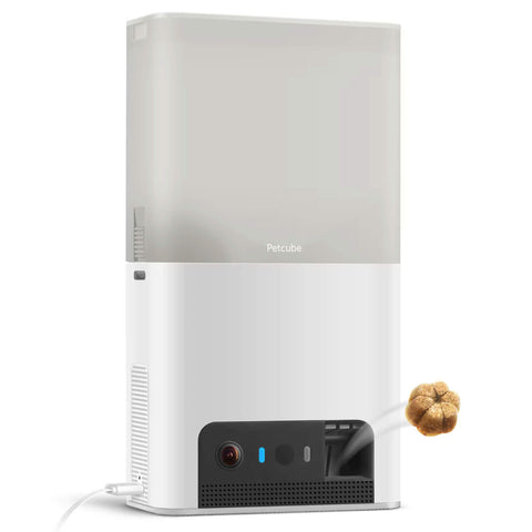 Petcube Haustierkamera Bites 2 Lite