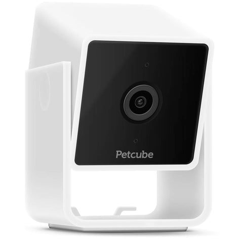 Petcube Haustierkamera Pet Cube