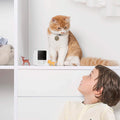 Petcube Haustierkamera Pet Cube