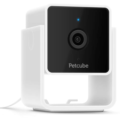 Petcube Haustierkamera Pet Cube