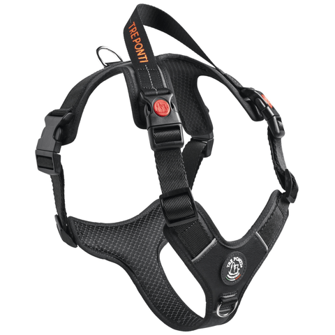 Hundegeschirr Harmonia Black