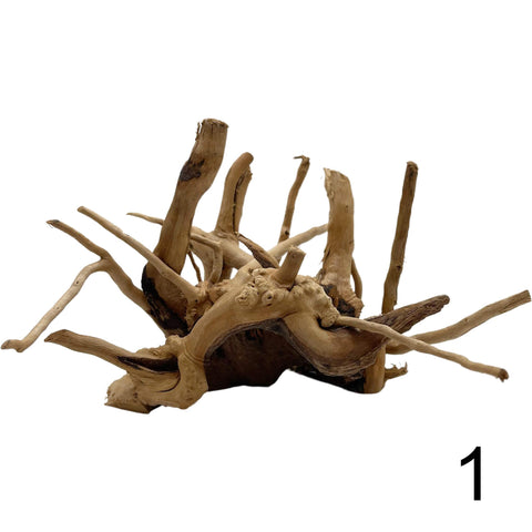 Moorwurzel - Spiderwood 1