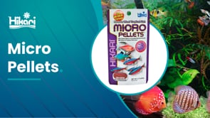 Hikari Micro Pellets