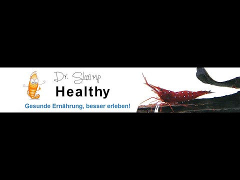 Dr. Shrimp Healthy Breed & Color