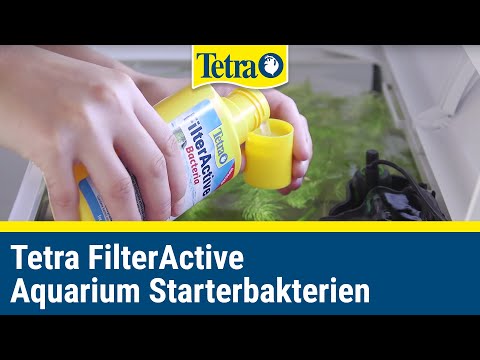 Tetra FilterActive