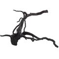 Schwarze Aquarium Moorwurzel 40-45 cm