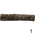 Seemandelbaum Röhre 1