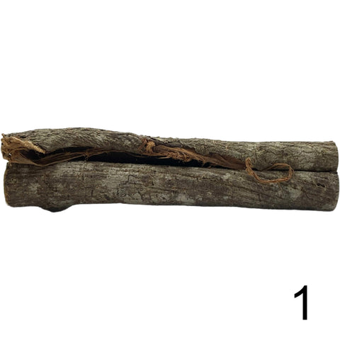 Seemandelbaum Röhre 1