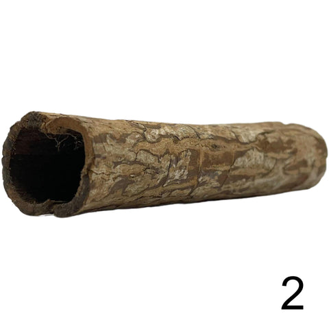 Seemandelbaum Röhre 2