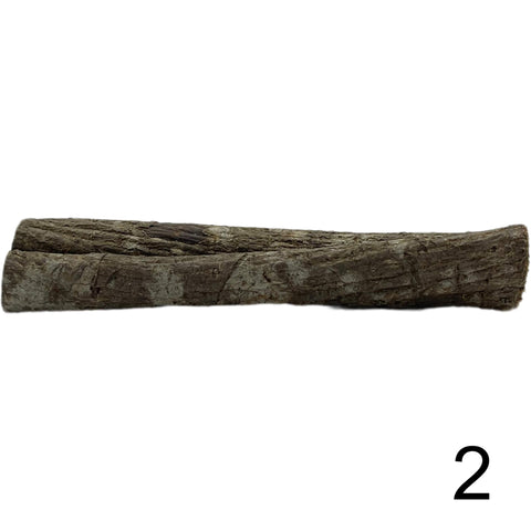 Seemandelbaum Röhre 2