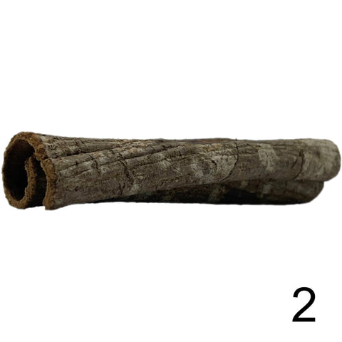Seemandelbaum Röhre 2