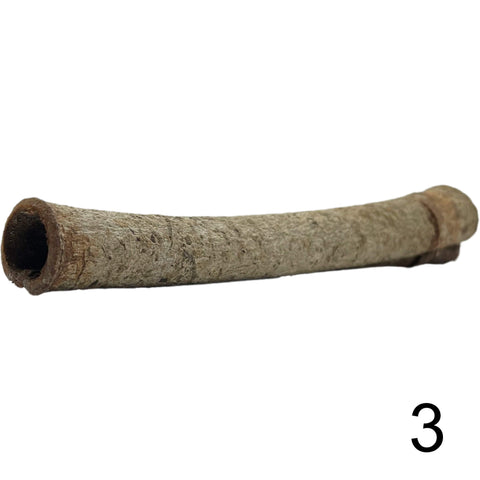 Seemandelbaum Röhre 3