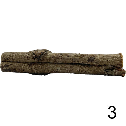Seemandelbaum Röhre 3