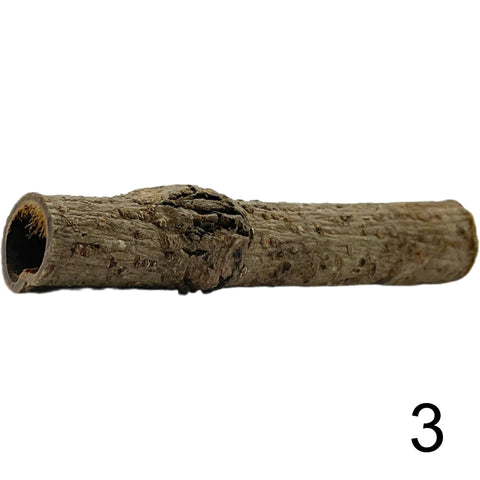 Seemandelbaum Röhre 3