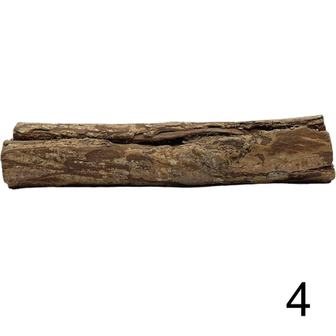 Seemandelbaum Röhre 4