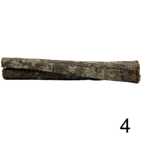 Seemandelbaum Röhre 4