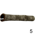 Seemandelbaum Röhre 5