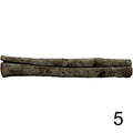 Seemandelbaum Röhre 5