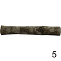 Seemandelbaum Röhre 5