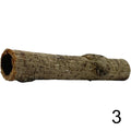 Seemandelbaum Röhre 3