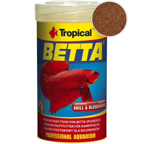 Tropical Betta