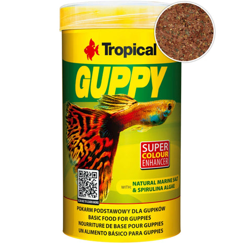 Tropical Guppy