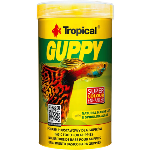 Tropical Guppy