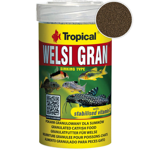 Tropical Welsi Gran