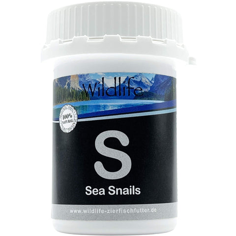 Wildlife Sea Snails Futterschnecken