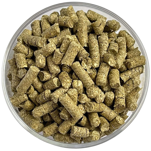 Gerstengras Futtersticks 25g